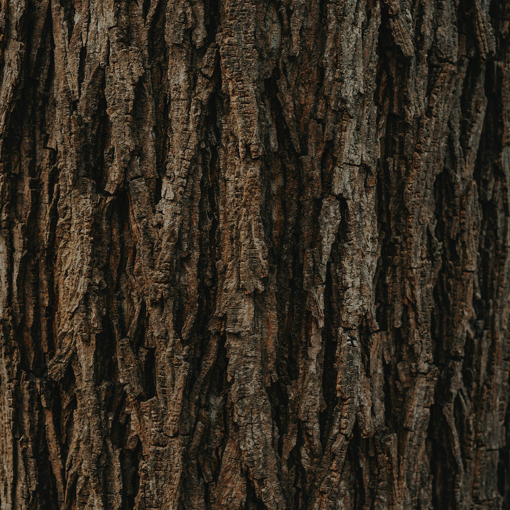 Woody